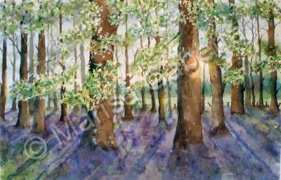 Nature - Bluebell Fields Forever - Watercolor