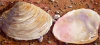 Shells - Watercolor Paintings - By Marisa Gabetta, Realism Painting Artist