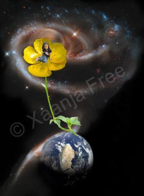 Photoshop Images - Build Me Up Buttercup - Photographs Digital Design