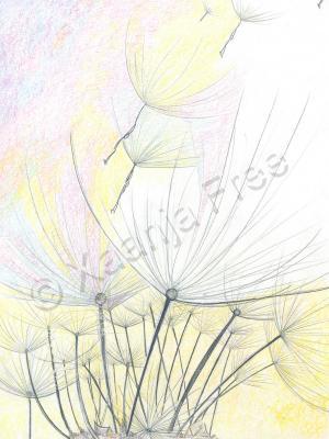 Drawing-Pencil Crayon - Spring Fling 18X24 - Pencil Crayons