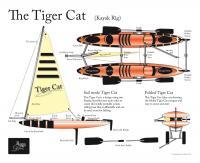 The Tiger Cat - Adobe Illustrator Cs6 Digital - By Kenneth Ruxton, Illustration Digital Artist