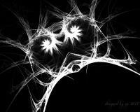 Termite - Digital Digital - By Orbital Decay, Black And White Digital Artist