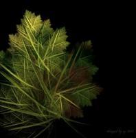 Falling Leaf - Digital Digital - By Orbital Decay, Surreal Digital Artist