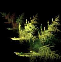 Trees And The Menace Of Light At Night - Digital Digital - By Orbital Decay, Surreal Digital Artist