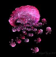 Surreal - Flower Hat Jellyfishes - Digital