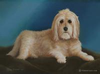 Mandy - Oil On Canvas Paintings - By Harry Walton, Realistic Painting Artist