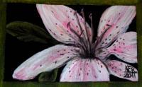 Bloom In Time - Acrylicwatercolor Paintings - By Kristy Edwards-Rusie, Aceo Painting Artist