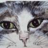 Close Kitty - Acrylicwatercolor Paintings - By Kristy Edwards-Rusie, Aceo Painting Artist