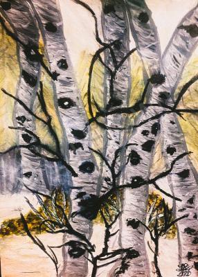 Nature - Aspen Sold - Watercolors