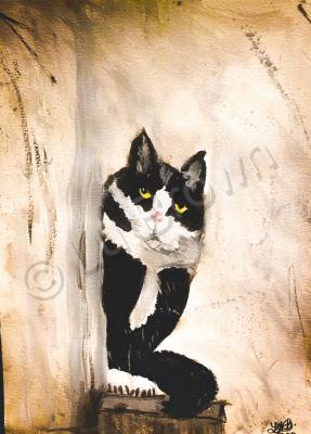 Animals - Tuxedo Kitty - Watercolors