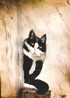 Tuxedo Kitty - Watercolors Paintings - By Lu Brown, Freeform Painting Artist