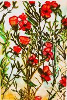Poppy Sold - Watercolors Paintings - By Lu Brown, Freeform Painting Artist