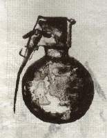 Grenade - Lithography Printmaking - By Alexa Karabin, Lithograph Printmaking Artist