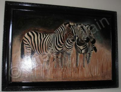 Single Collection - Zebras - Oil On Board