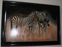 Single Collection - Zebras - Oil On Board