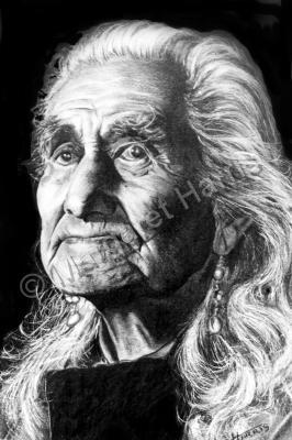 Graphite Drawings By Margaret - The Chief - Graphite