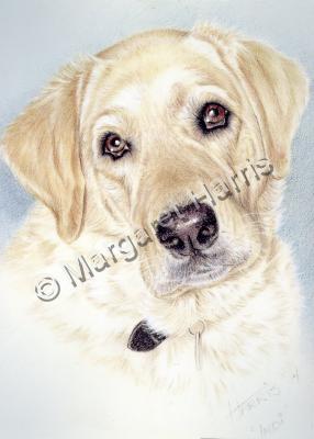 Watercolor Painting - My Best Girl Indi - Watercolor