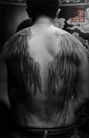 Collected Works - A Policemans Hidden Wings - Skin
