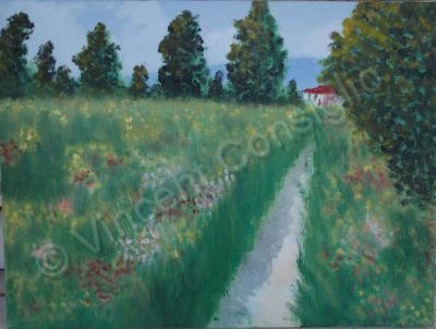 Oil Paintings - Flower Fields - Oil On Canvas