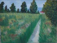 Oil Paintings - Flower Fields - Oil On Canvas