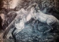 Equus - Garanhons - Oil On Canvas