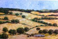 Landscape - Grazing At Noon - Oils On Canvas
