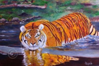 Animals - Tiger - Oils On Canvas