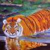 Tiger - Oils On Canvas Paintings - By Ayyub Shaik, Realism Painting Artist