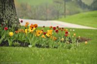 The Road Home - Digital Photography - By David Wilson, Nature Photography Artist