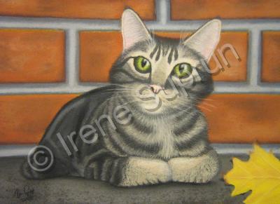 Cats - Kitten - Pastel