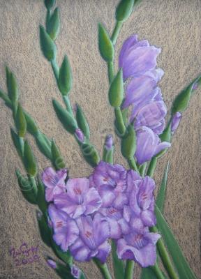 Flowers - Gladioli - Pastel