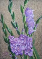 Flowers - Gladioli - Pastel