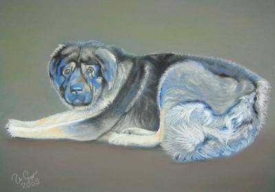 Dogs - The Dog - Pastel