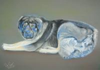 The Dog - Pastel Paintings - By Irene Suprun, Realism Painting Artist