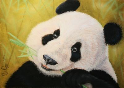 Animals - Panda - Pastel