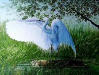 Birds And Animals - White Egret - Oil On Canvas