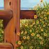 Black-Eyed Susans Beached - Oils On Canvas Paintings - By Susan Dehlinger, Traditional Painting Artist