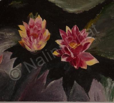 Nalini--Lotus - Twin Lotuses - Oil On Wood