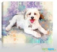 Pet Canvas - Acrylic Paintings - By Snappy Canvas, Color Splash Painting Painting Artist