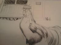 Rooster Struts - Pencil Drawings - By Elizabeth J White, Traditional Drawing Artist