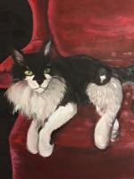 Fluffy The Cat - Oil Paintings - By Elizabeth J White, Traditional Painting Artist