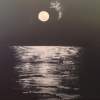 Moonlight Over Bulli Beach - Acrylic Paintings - By Barry Gale, Abstract Painting Artist