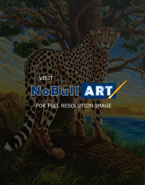 Animals - Cape Cheetah - Oil On Canvas