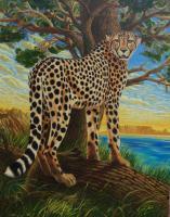 Animals - Cape Cheetah - Oil On Canvas