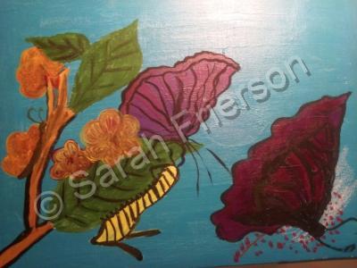 Flower Collection - Bitterfly Painting By Sarah - Acrylics