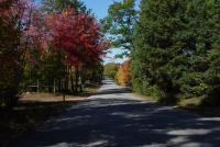 Autumn Road - Photography Photography - By Jeff Ford, Digital Photography Photography Artist