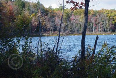 Nature - Hidden Cove - Photography