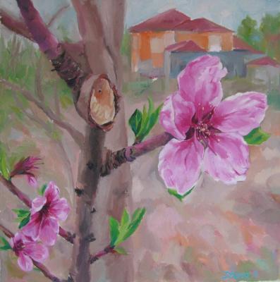 1 - Apple Blossom - Oil