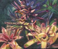 Bromeliad Choir - Oil On Canvas Paintings - By Claudia Thomas, Closed Landscape Painting Artist
