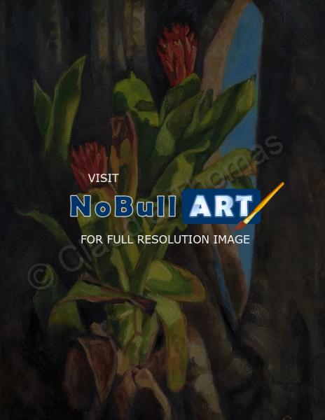 Botanicals - Bromeliad Attached - Oil On Canvas